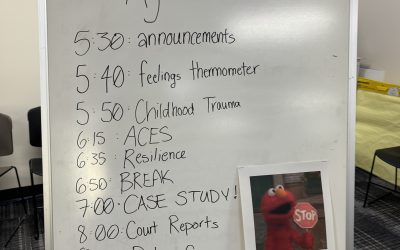 A Glimpse into CASA Training